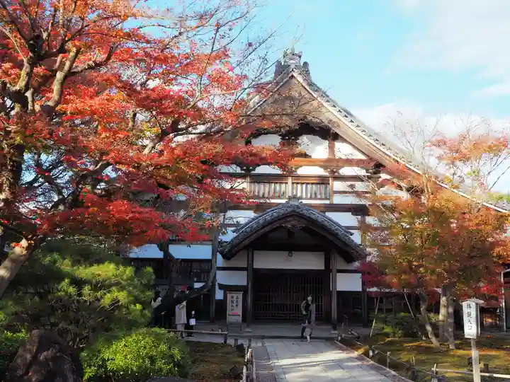 高台寺(高台寿聖禅寺・高臺寺)の本殿・本堂