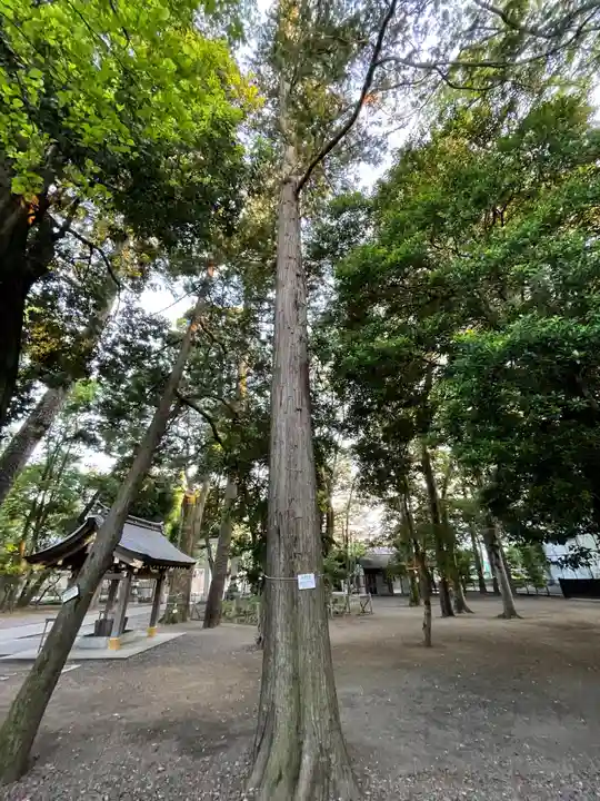 布多天神社の自然