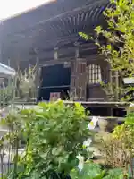 佛日庵の本殿・本堂