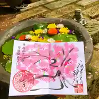 かっぱの寺 栖足寺の御朱印