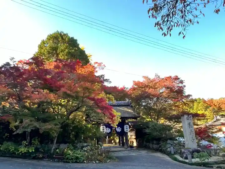 国宝 長寿寺(滋賀県)
