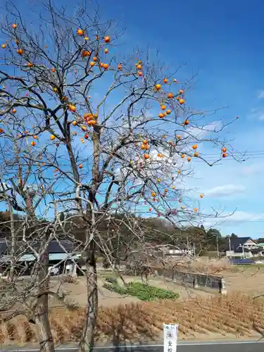 金蛇水神社の景色