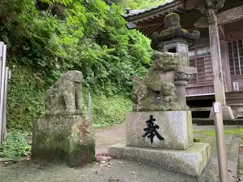 長秀寺{永代供養やすらぎ納骨堂・浪切不動尊}の狛犬