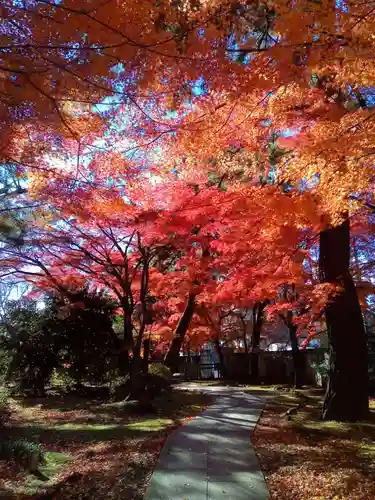 正樂寺(宮城県)