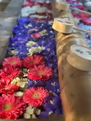 群馬県護国神社(群馬県)