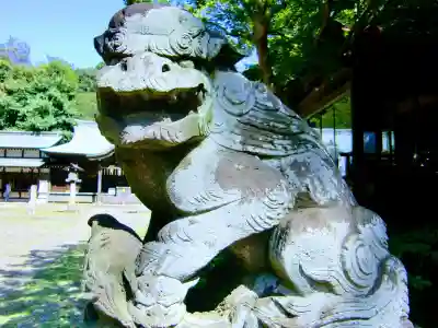 畑子安神社の狛犬
