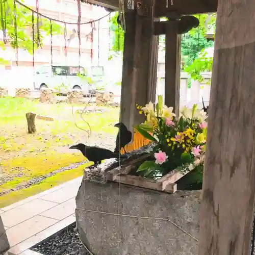 彌彦神社　(伊夜日子神社)の動物
