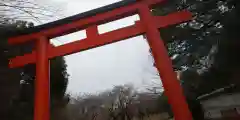 平野神社(京都府)