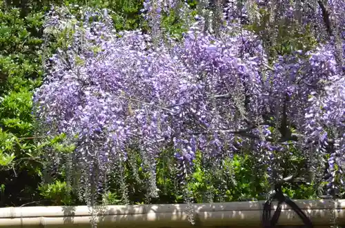青龍山 吉祥寺(群馬県)