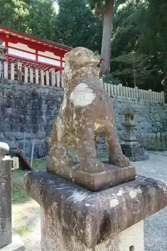 春日神社の狛犬