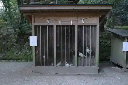 石上神宮(奈良県)