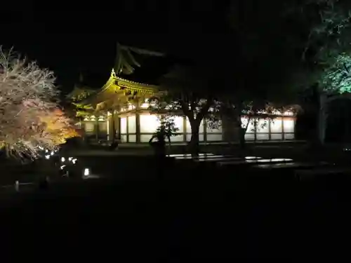 東寺（教王護国寺）の庭園