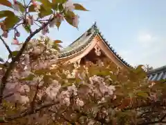 仁和寺の自然