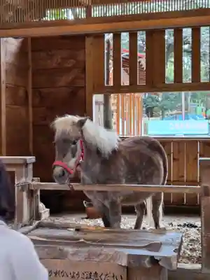 平塚八幡宮(神奈川県)