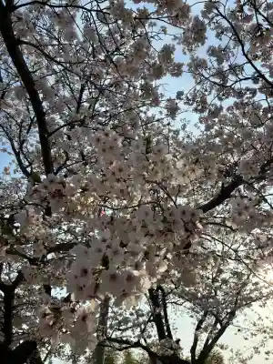 成願寺の{uncategorized: "未分類", other: "その他", undefined: "問題あり", building: "その他建物", grave: "お墓", sacred_gate: "鳥居", guardian: "狛犬", statue: "像", buddha: "仏像", history: "歴史", nature: "自然", garden: "庭園", animal: "動物", pagoda: "塔", temizu: "手水舎", mountain_gate: "山門・神門", sanctuary: "本殿・本堂", subordinate: "末社・摂社", art: "芸術", scenery: "景色", jizo: "地蔵", ema: "絵馬", goshuin: "御朱印", omikuji: "おみくじ", items: "授与品その他", amulet: "お守り", goshuincho: "御朱印帳", eats: "食事", festival: "お祭り", votive_dance: "神楽", shichigosan: "七五三参", wedding: "結婚式", experience: "体験その他", initially: "初詣", around: "周辺", anti_infection: "感染症対策"}