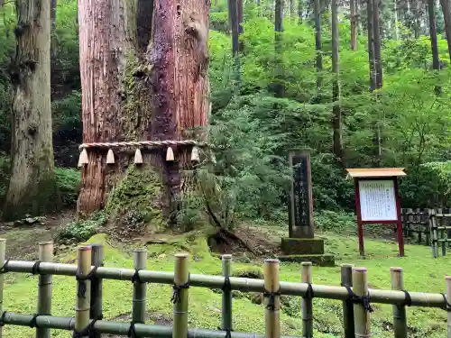 御岩神社(茨城県)
