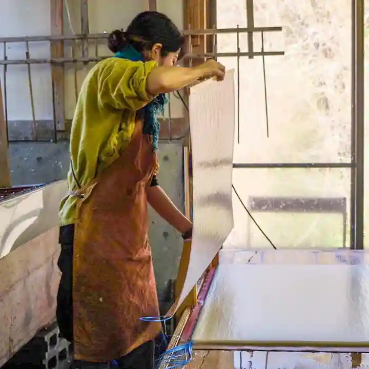 諫早神社(九州総守護 四面宮)(長崎県)