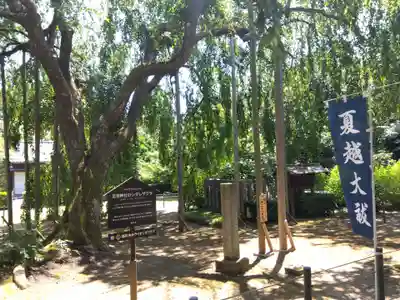 足羽神社(福井県)