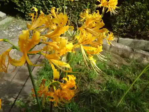 横浜　西方寺の自然