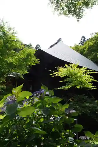 普門寺(切り絵御朱印発祥の寺)の自然