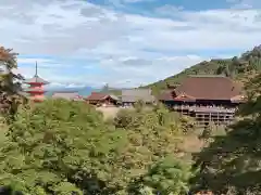 清水寺(京都府)