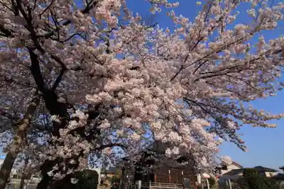 静御前堂の自然