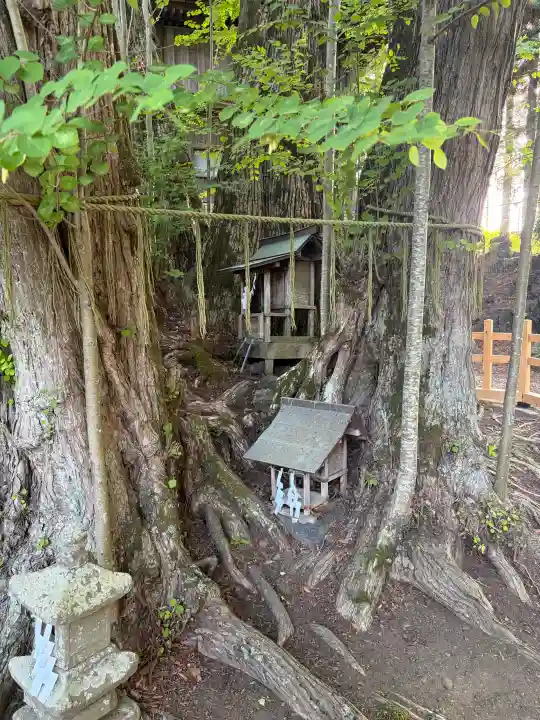 小室浅間神社の{uncategorized: "未分類", other: "その他", undefined: "問題あり", building: "その他建物", grave: "お墓", sacred_gate: "鳥居", guardian: "狛犬", statue: "像", buddha: "仏像", history: "歴史", nature: "自然", garden: "庭園", animal: "動物", pagoda: "塔", temizu: "手水舎", mountain_gate: "山門・神門", sanctuary: "本殿・本堂", subordinate: "末社・摂社", art: "芸術", scenery: "景色", jizo: "地蔵", ema: "絵馬", goshuin: "御朱印", omikuji: "おみくじ", items: "授与品その他", amulet: "お守り", goshuincho: "御朱印帳", eats: "食事", festival: "お祭り", votive_dance: "神楽", shichigosan: "七五三参", wedding: "結婚式", experience: "体験その他", initially: "初詣", around: "周辺", anti_infection: "感染症対策"}