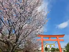 樽前山神社の自然