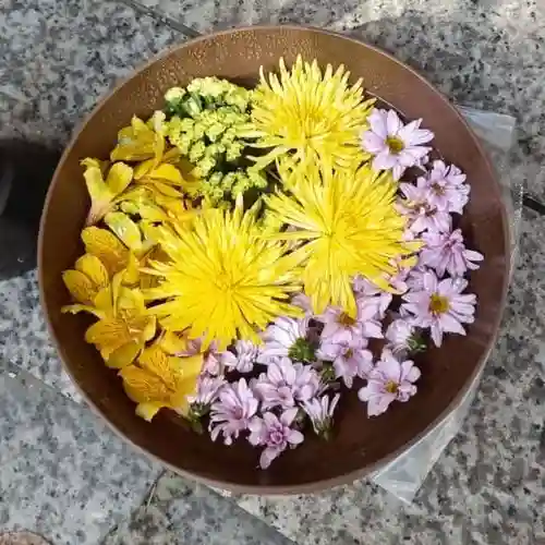 彌彦神社　(伊夜日子神社)の手水舎