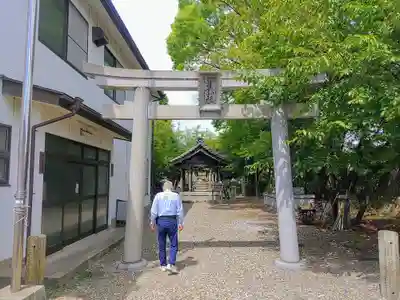 津島神社の鳥居