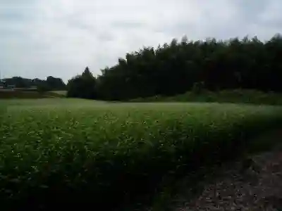 神田山延命院の周辺