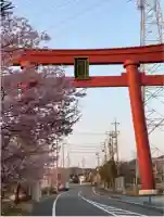 桜ヶ池池宮神社(静岡県)