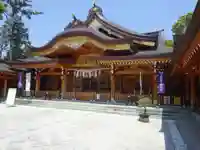 亀ケ池八幡宮の本殿・本堂