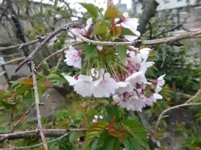 妙蓮寺(神奈川県)