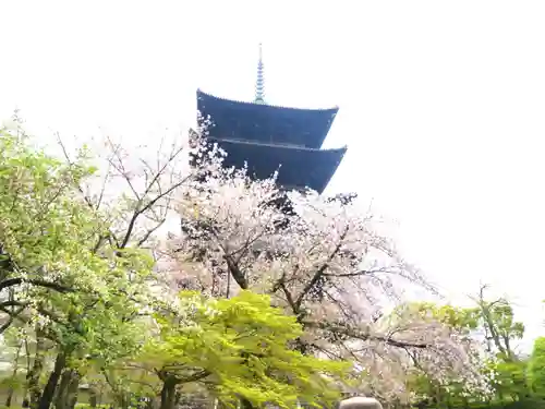 東寺（教王護国寺）の塔