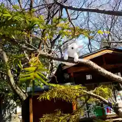 彌彦神社　(伊夜日子神社)(北海道)