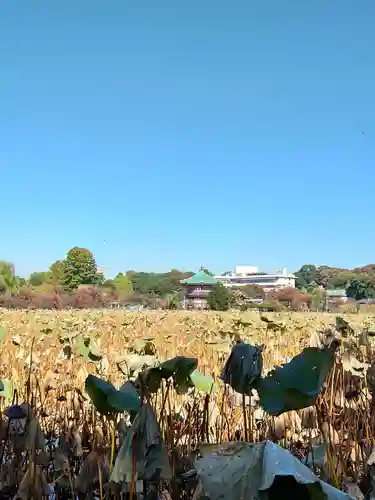 寛永寺不忍池弁天堂の景色