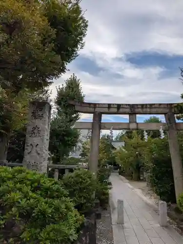 鳩森八幡神社の鳥居