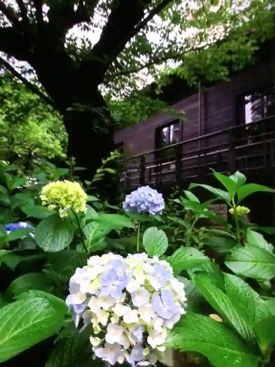 乃木神社(東京都)