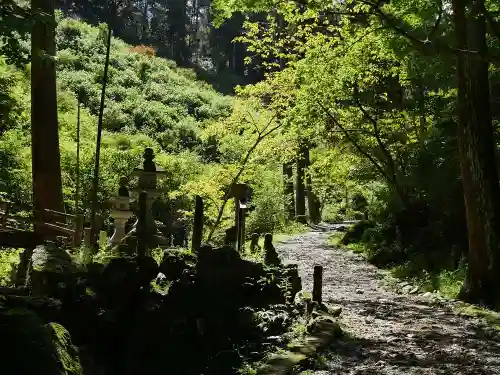 方廣寺の自然