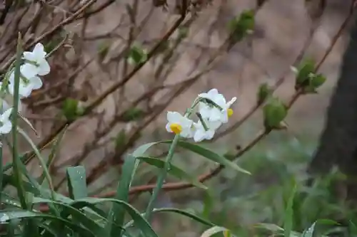 高司神社〜むすびの神の鎮まる社〜の庭園