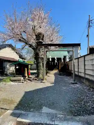 御嶽神社の{uncategorized: "未分類", other: "その他", undefined: "問題あり", building: "その他建物", grave: "お墓", sacred_gate: "鳥居", guardian: "狛犬", statue: "像", buddha: "仏像", history: "歴史", nature: "自然", garden: "庭園", animal: "動物", pagoda: "塔", temizu: "手水舎", mountain_gate: "山門・神門", sanctuary: "本殿・本堂", subordinate: "末社・摂社", art: "芸術", scenery: "景色", jizo: "地蔵", ema: "絵馬", goshuin: "御朱印", omikuji: "おみくじ", items: "授与品その他", amulet: "お守り", goshuincho: "御朱印帳", eats: "食事", festival: "お祭り", votive_dance: "神楽", shichigosan: "七五三参", wedding: "結婚式", experience: "体験その他", initially: "初詣", around: "周辺", anti_infection: "感染症対策"}