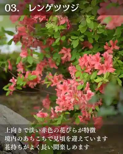 宝光寺(北海道)