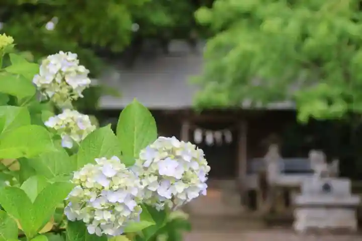 開成山大神宮の景色