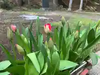 大宮温泉神社(栃木県)