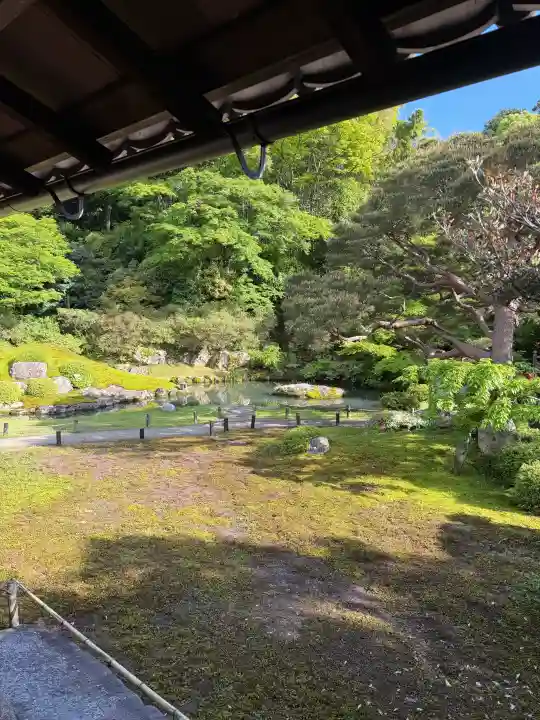 青蓮院門跡の{uncategorized: "未分類", other: "その他", undefined: "問題あり", building: "その他建物", grave: "お墓", sacred_gate: "鳥居", guardian: "狛犬", statue: "像", buddha: "仏像", history: "歴史", nature: "自然", garden: "庭園", animal: "動物", pagoda: "塔", temizu: "手水舎", mountain_gate: "山門・神門", sanctuary: "本殿・本堂", subordinate: "末社・摂社", art: "芸術", scenery: "景色", jizo: "地蔵", ema: "絵馬", goshuin: "御朱印", omikuji: "おみくじ", items: "授与品その他", amulet: "お守り", goshuincho: "御朱印帳", eats: "食事", festival: "お祭り", votive_dance: "神楽", shichigosan: "七五三参", wedding: "結婚式", experience: "体験その他", initially: "初詣", around: "周辺", anti_infection: "感染症対策"}