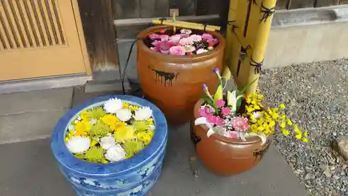 多賀神社の手水舎