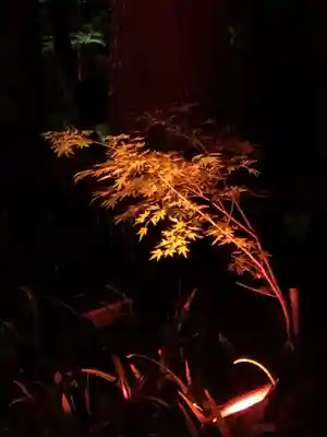 尊永寺のその他建物