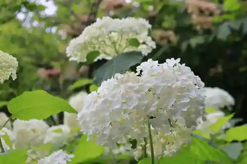 梅宮大社(京都府)