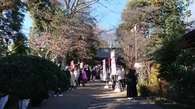 馬場氷川神社(埼玉県)